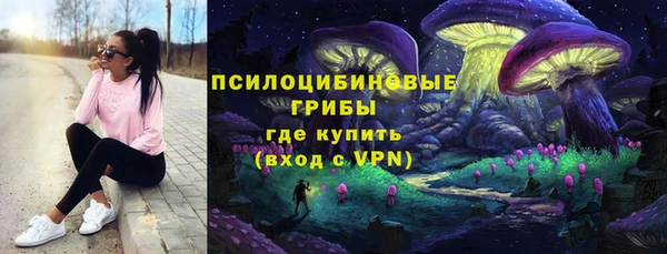 сатива Осташков