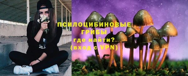 сатива Осташков