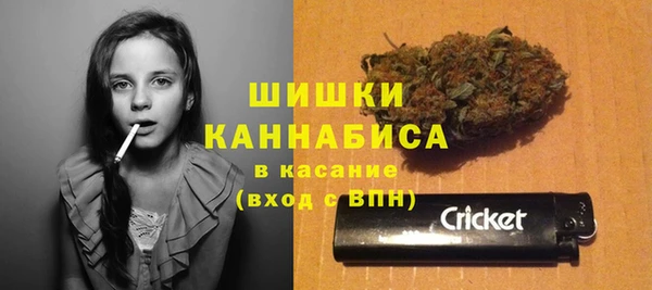сатива Осташков