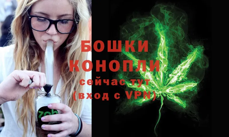 Шишки марихуана VHQ  мориарти клад  Светлый  наркота 