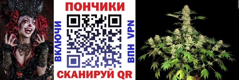 kraken зеркало купить сайты Светлый Бошки марихуана марихуана